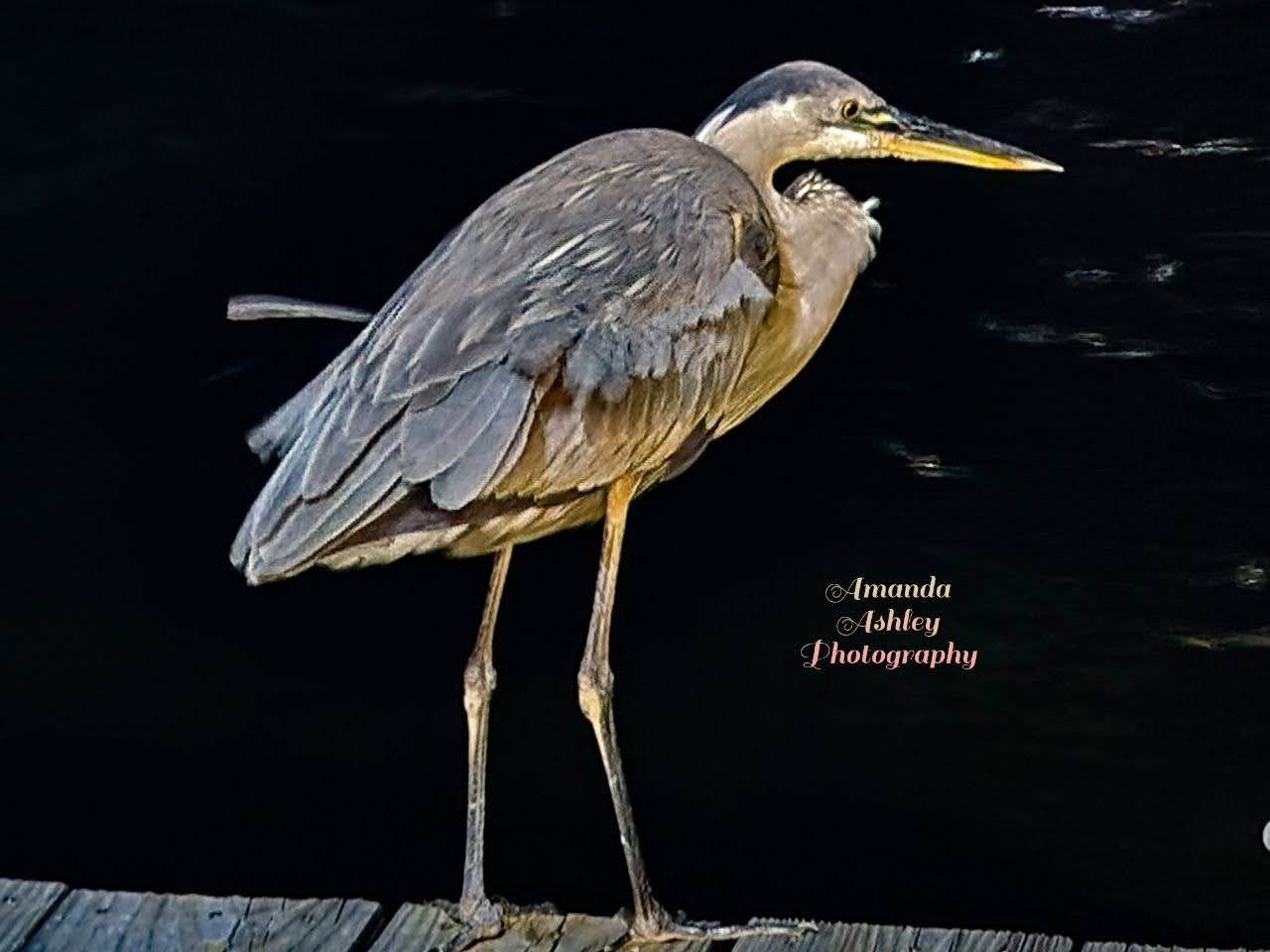 Photography Sample 18